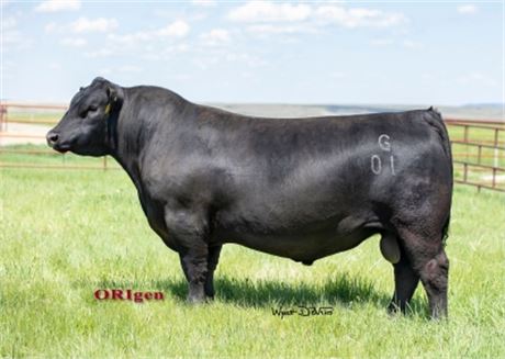 4 Units - Baldridge SR Goalkeeper
