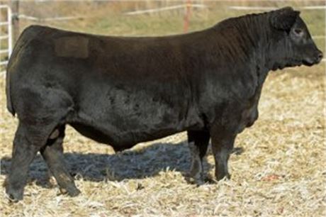 10 Units - Baldridge Alternative E125