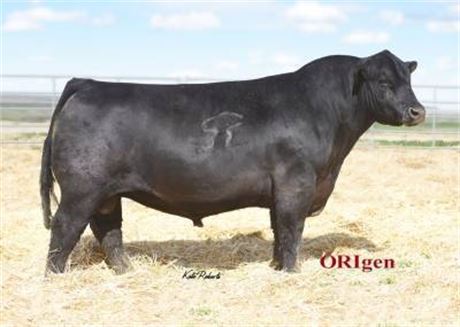 10 Units - Basin Yuma 4286