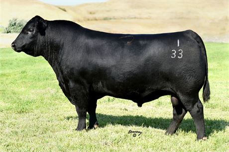1 Unit - Connealy Black Granite 133