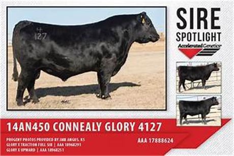 3 Units - Connealy Glory 4127