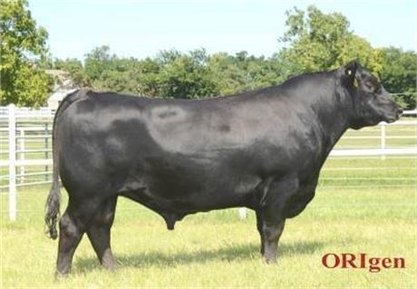 5 Units - Basin Advance 3134