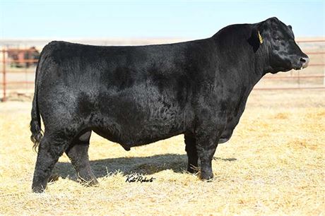 Basin Safe Deposit 9324