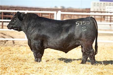 10 Units - G A R Home Free 5950