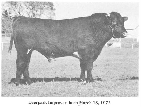 6 Units - Deerpark Improver