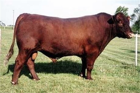 1 Unit - Dunbeacon Venture